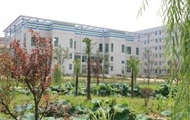 中南财经政法大学绿景