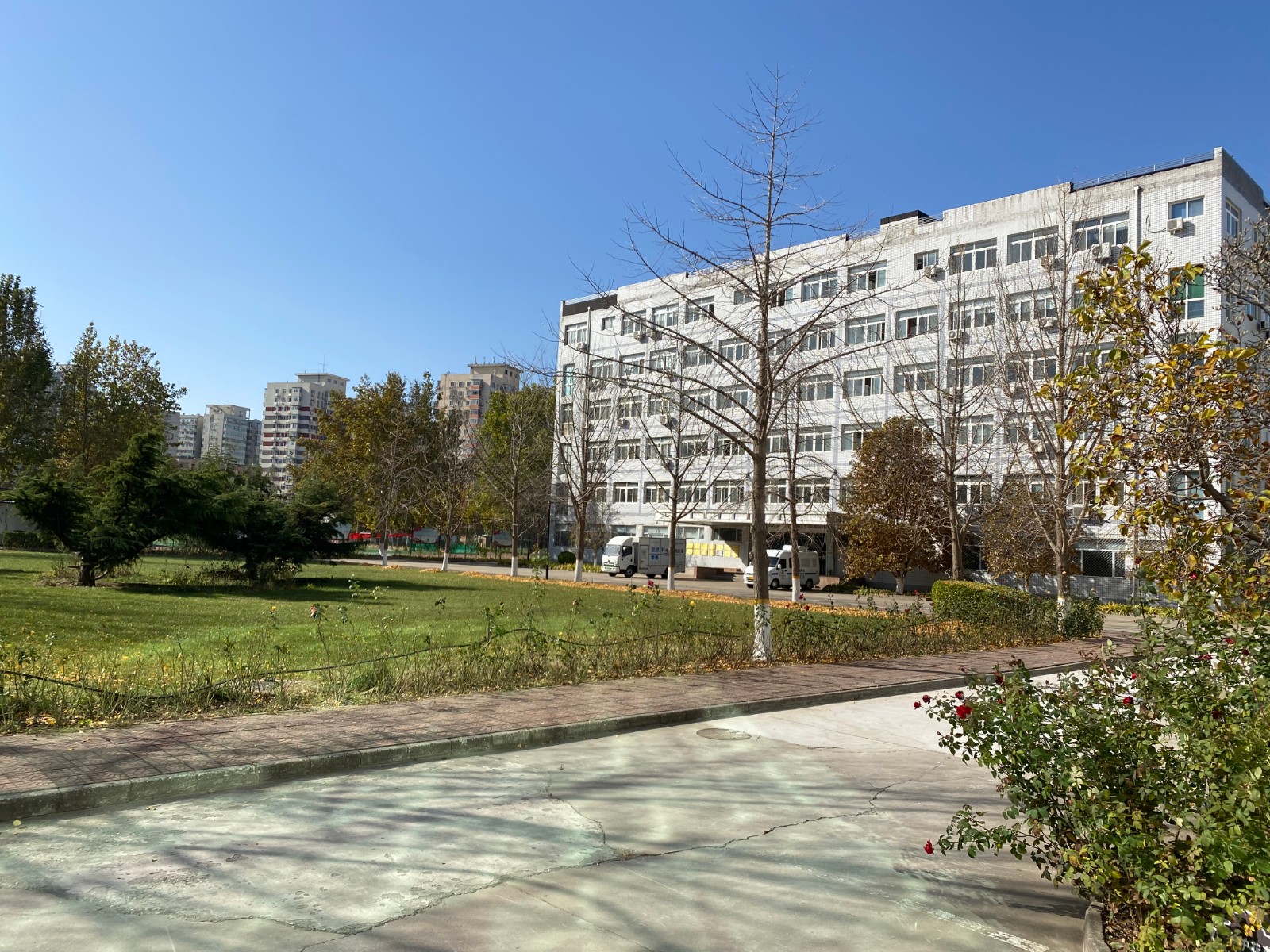 北京化工大学校园风景3